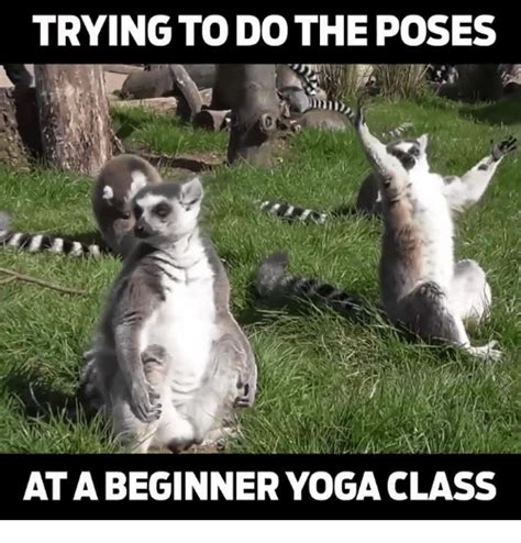 Yoga Memes That Are Honestly Funny SayingImages Com Funny Yoga Memes Yoga Meme Beginner
