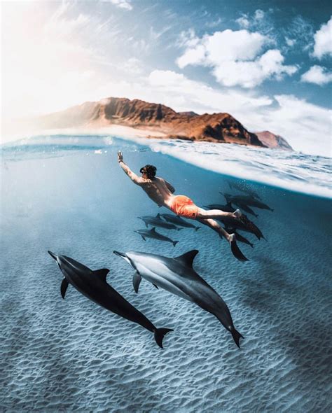 Swimming With Dolphins In Hawaii 🐬photo By Nolanomura Discoverearth