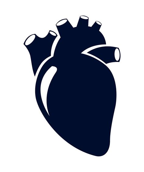 Human Heart Design 10428761 Vector Art At Vecteezy