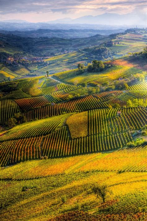 Le Langhe Dipinte Dautunno Da La Morra Ph Andrea Mucelli Wonders Of