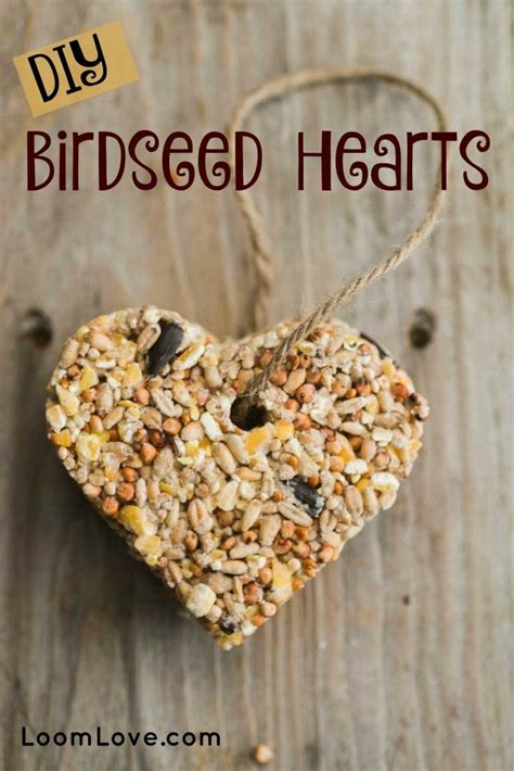 How To Make Birdseed Hearts Bird Seed
