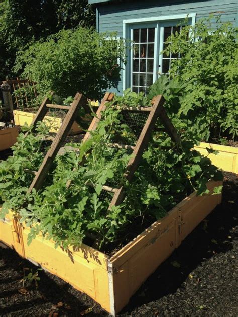 Create A Trellis For Cantaloupe Or Watermelon Out Of An Old Ladder And