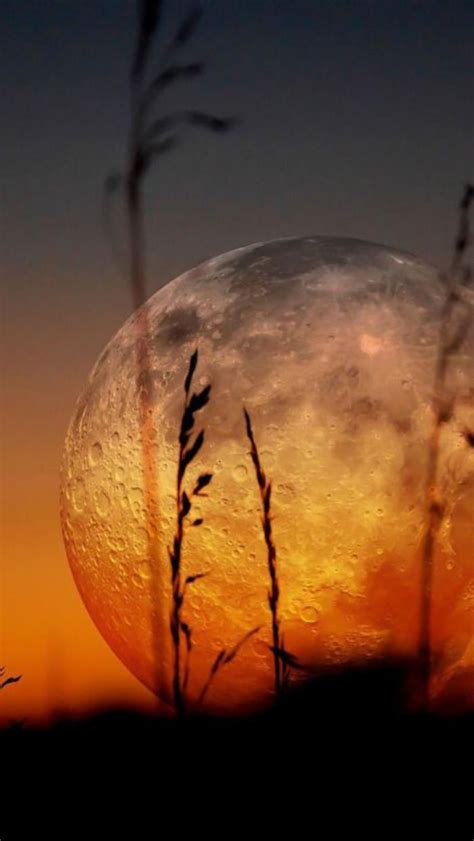 Pourquoi La Pleine Lune Est Si Inspirante 40 Jolies Photographies Du