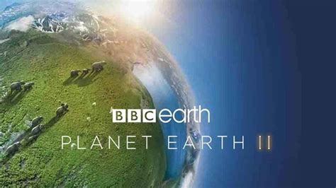 Discovery Plus Onboards Bbc Earth Content As Many Titles Exit Sonyliv