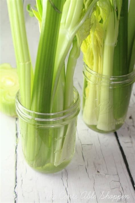 How To Revive Wilted Celery