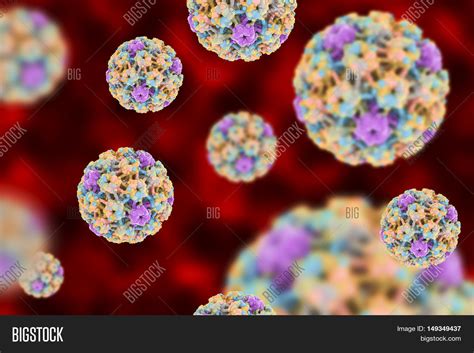 Human Papillomaviruses Image And Photo Free Trial Bigstock