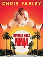 Beverly Hills Ninja: Official Clip - Haru Says Goodbye - Trailers ...