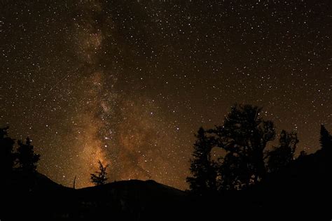 Hd Wallpaper Silhouette Of Trees Under Starry Sky During Night Time