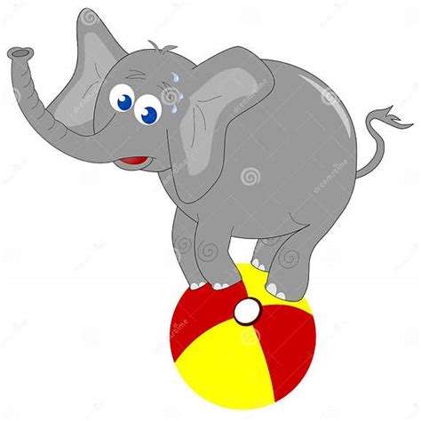 Elephant On The Ball Stock Vector Illustration Of Concentration 21014908
