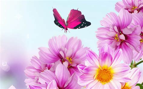 Free Download Pink Flowers Desktop Wallpapers Pink Flowers Desktop