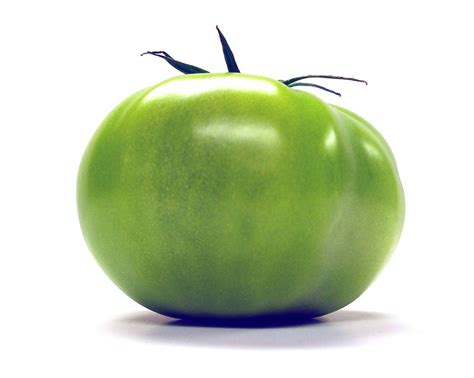 Green Tomato Free Photo Download Freeimages