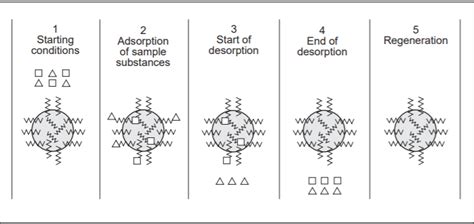 Reverse Phase Chromatography