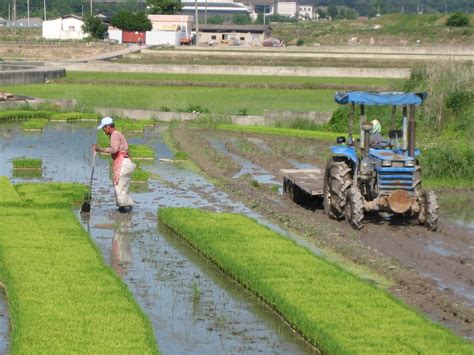 Korean Agricultures Dependence On Migrant Workers Korea Economic