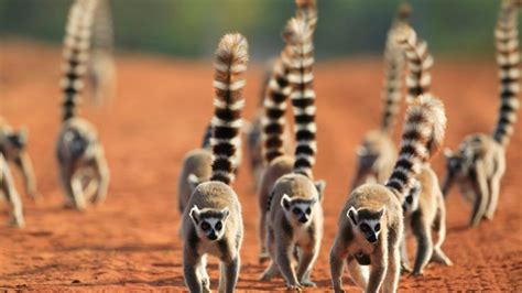 Best Tours In Africa National Geographic Traveler
