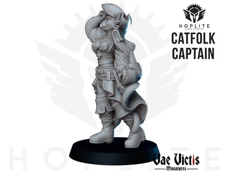 Catfolk Pirate Captain 28mm Fantasy Dandd Dungeons And Etsy