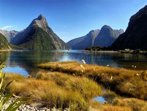 New Zealand Fiordland National Park Milford Sound Stock Photo Image