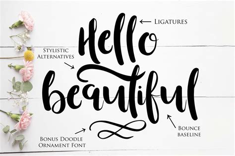 Beautiful Font Stunning Script Fonts Creative Market