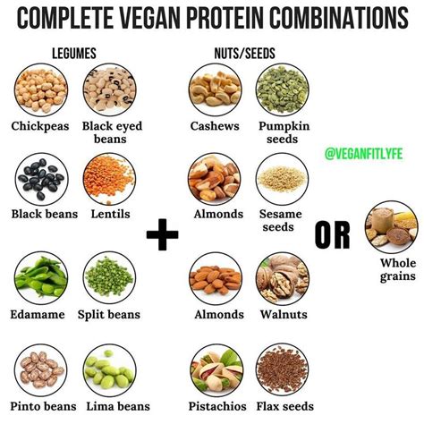 Vegan Fit Life On Instagram “complete Protein Combinations 💚 Tag A