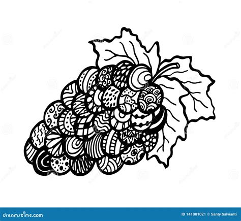 Grape Fruits Zen Art Hand Drawn Doodle Vector Zentangle Design