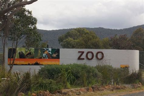 Halls Gap Wildlife Park And Zoo Mountain View Motor Inn And Holiday Lodges