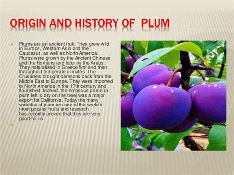 History Of Fruits By Allah Dad Khan