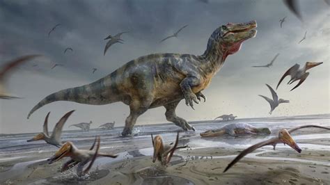 One Of Europes Largest Ever Predatory Dinosaurs Discovered In The Uk