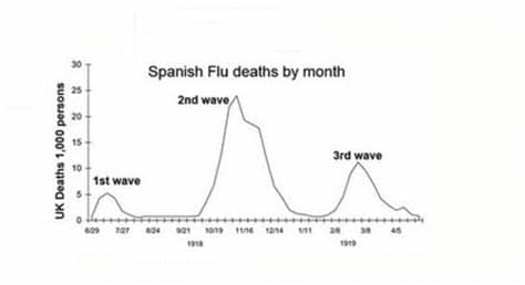 The spanish flu, also known as the 1918 flu pandemic, was an unusually deadly influenza pandemic caused by the h1n1 influenza a virus. CDC director warns COVID-19 second wave could be the ...