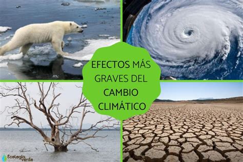Ecologia Y Cambio Climatico Efectos De Los Cambios Climaticos