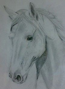 Tot slot kunnen er na de operatie nog complicaties optreden tijdens het wakker worden uit de narcose en in de herstelperiode na de operatie. paardenhoofd tekening in stappen - Google zoeken - tekenen | Pinterest - Paardenhoofd, Tekening ...