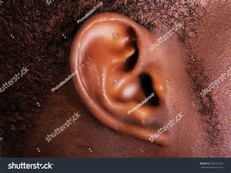 Powerpoint Template Black Male Ear Close Up Jhhihkjlj