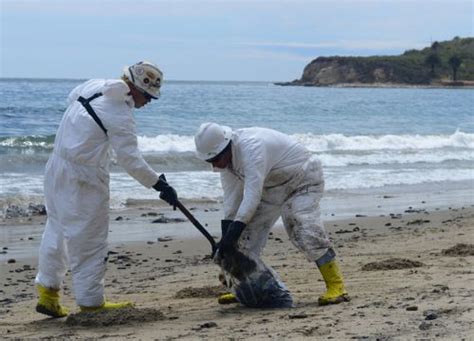 How Do Oil Spills Get Cleaned Up On Shore Response Restoration Noaa Gov