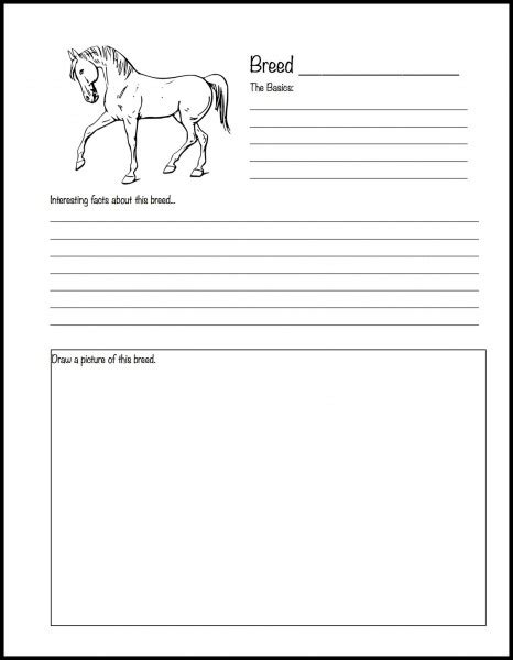 16 Best Images Of Horse Worksheets For Students Infectious Disease