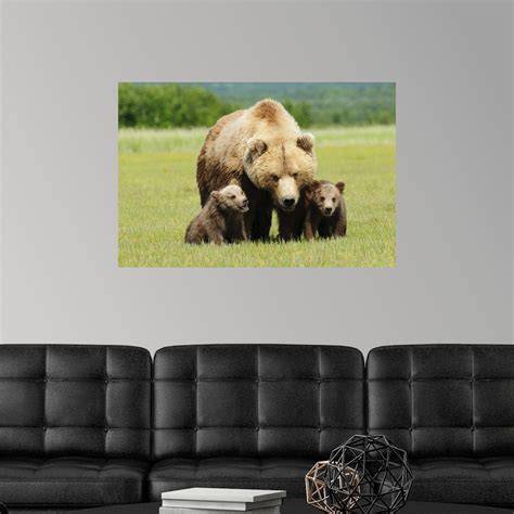A Brown Grizzly Bear With Cubs Alaska Poster Art Print Bear Home