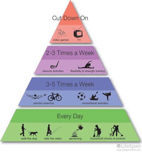 Physical Activity Pyramid Infographic Vector Art At Vecteezy Hot Sex