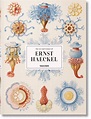 L'art et la science de Ernst Haeckel - L'influx