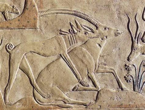 The 10 Most Ancient Dog Breeds Hubpages