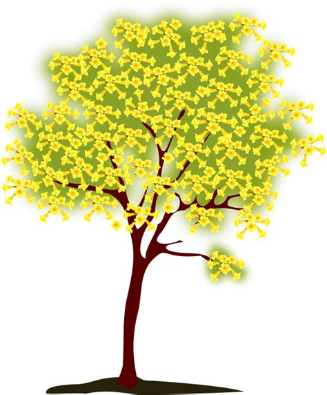 Yellow Trees Clipart 20 Free Cliparts Download Images On Clipground 2024