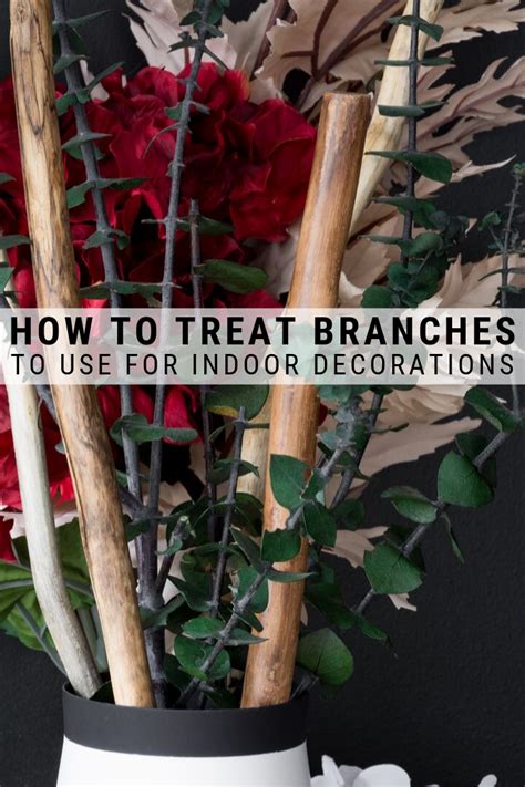 How To Treat Tree Branches For Indoor Use Cleaning Branches For