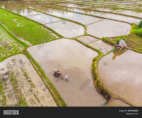 Rice Fields Flooded Image Photo Free Trial Bigstock