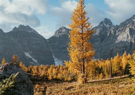 10 Of The Best Places To Enjoy Fall Colours In The Kootenays British