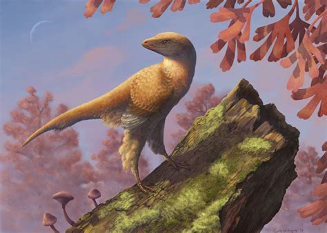 how did feathered dinosaurs learn to fly