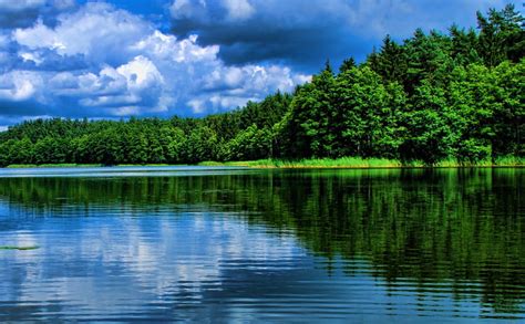Reflecting Lake Forest Trees Sky Clouds Lake Water Green Bright