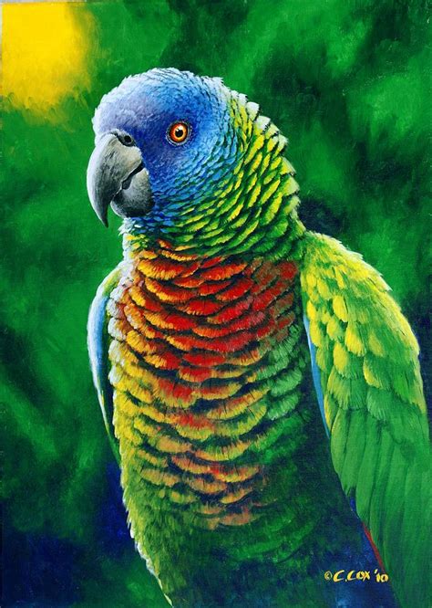 St Lucia Parrot Fine Colours Painting By Christopher Cox