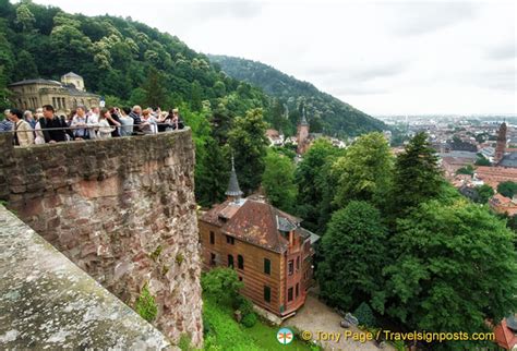 Heidelberg Castle From The Viewing Terrace