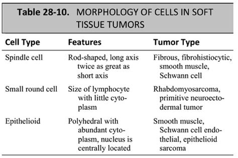 Soft Tissue Tumors Flashcards Quizlet