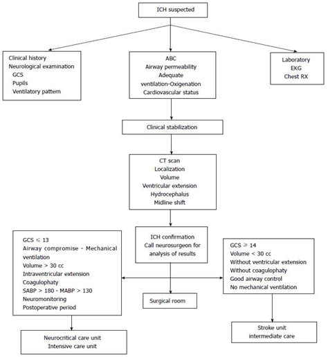 Steps To Consider In The Approach And Management Of Critically Ill