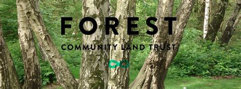Community led housing london @clhlondon. Forest Community Land Trust Fun Day - community-led ...
