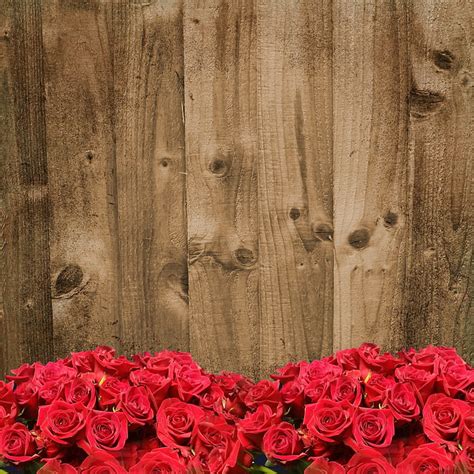 Royalty Free Photo View Of Red Roses Behind Brown Plank Pickpik