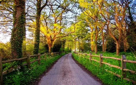 Wallpaper England Great Britain Nature Road Green Grass Fence