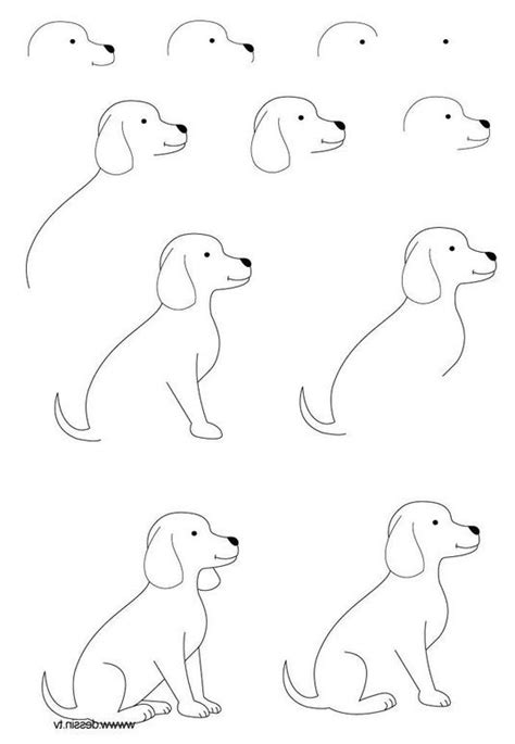 20 Easy Dog Drawings Step By Step Do It Before Me